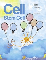 Mir-17∼92 Confers Motor Neuron Subtype Differential Resistance to ALS-Associated Degeneration