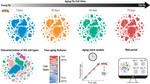 Aging Fly Cell Atlas identifies exhaustive aging features at cellular resolution